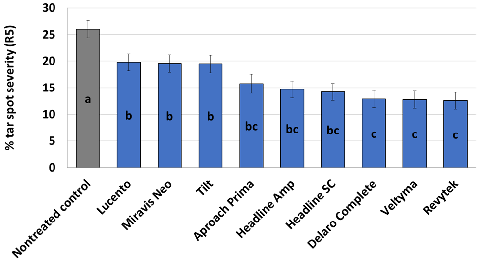 Graph.